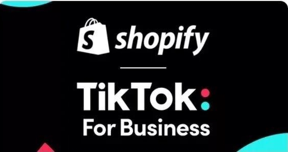 TikTok如何结合Shopify独立站进行推广 TikTok结合Shopify